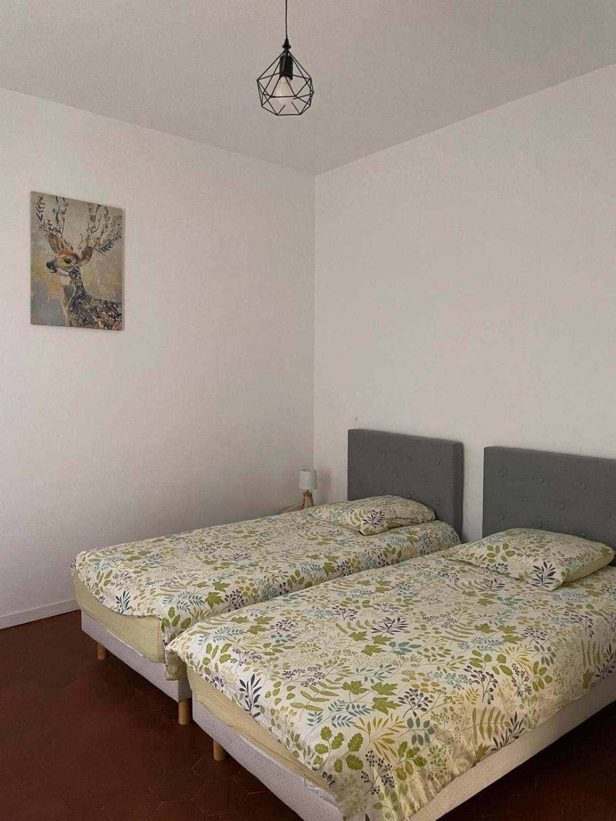 Appartement Gaudi Centre Historique ペルピニャン エクステリア 写真